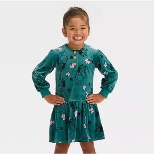 NWT Bluey Toddler Girls Floral Velour Long Sleeve Front Button Green Dress 2T